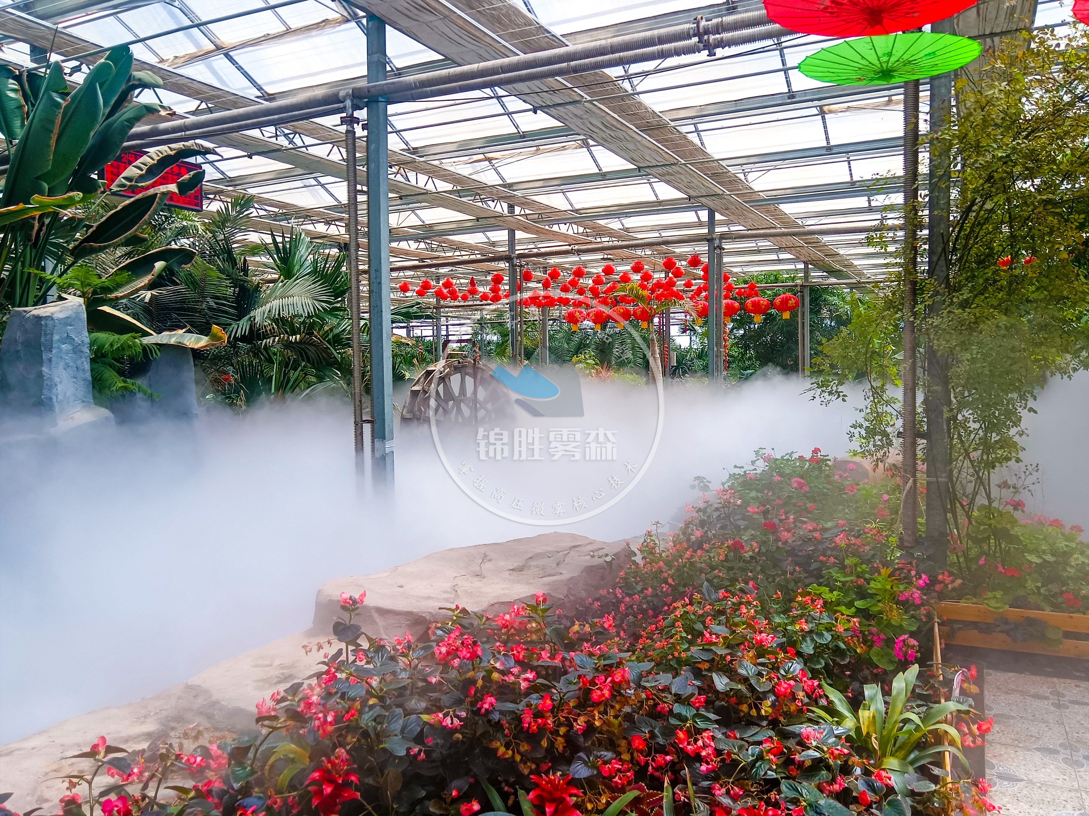 新疆哈密农业科技园巧用雾森降温加湿实现绿色农业创新、创收