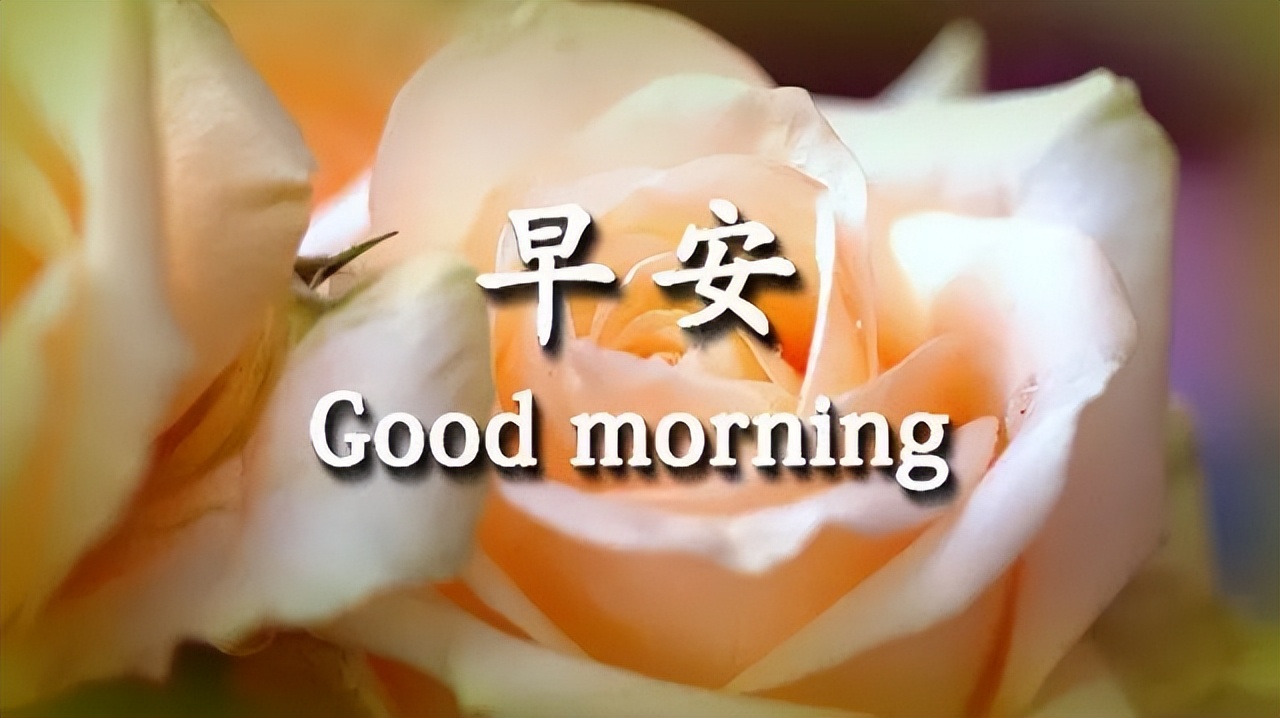 早上好唯美问候图片 祝福依旧早安图片合集祝福好友样样都好图片