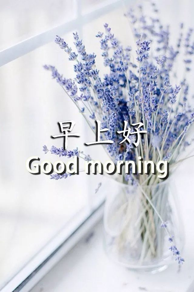 五月早上好朋友 非常漂亮的早上好图片带字 相信自己 明天会更加美好图片