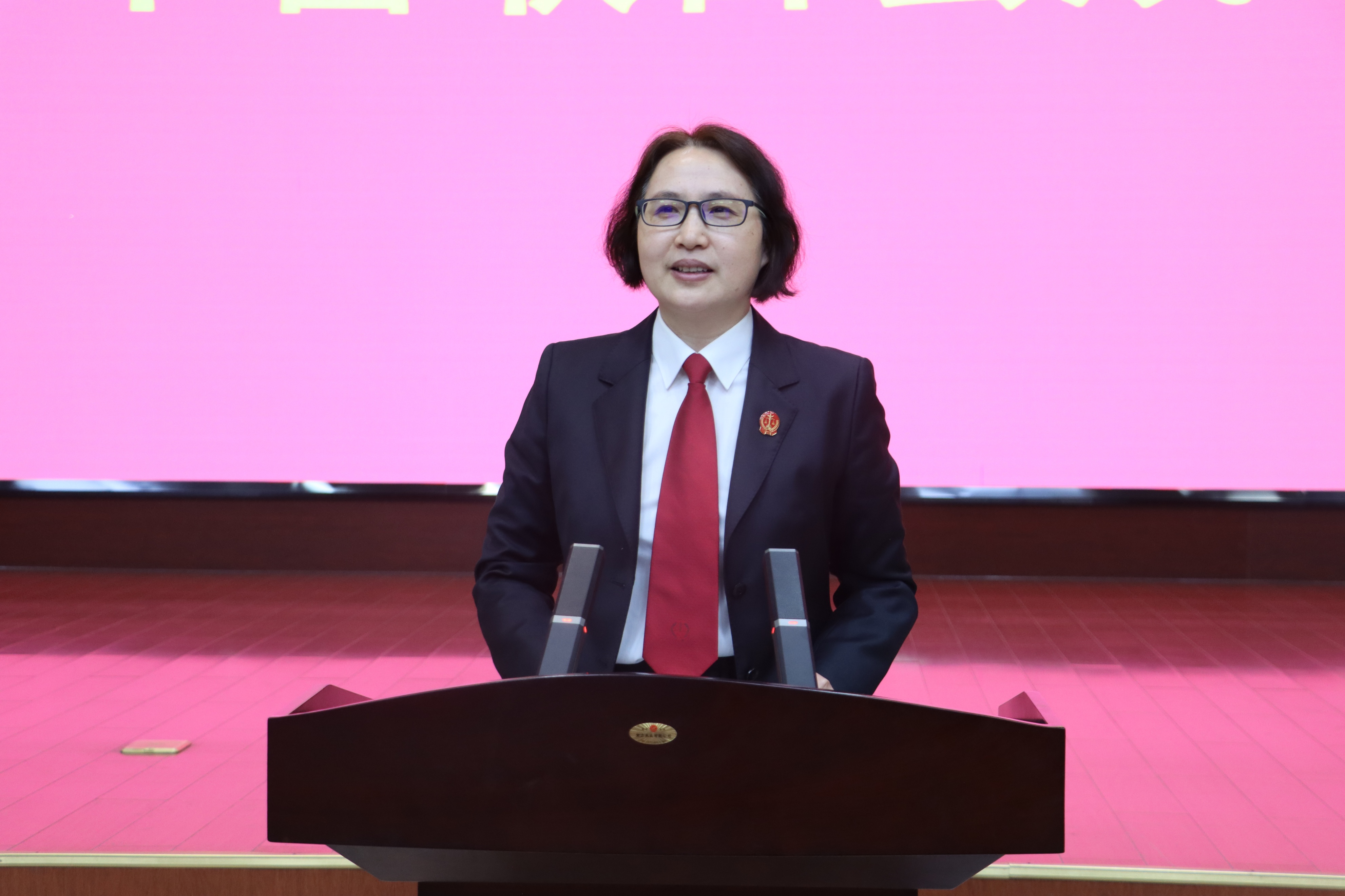 南阳宛城区法院青年干警联合会成立