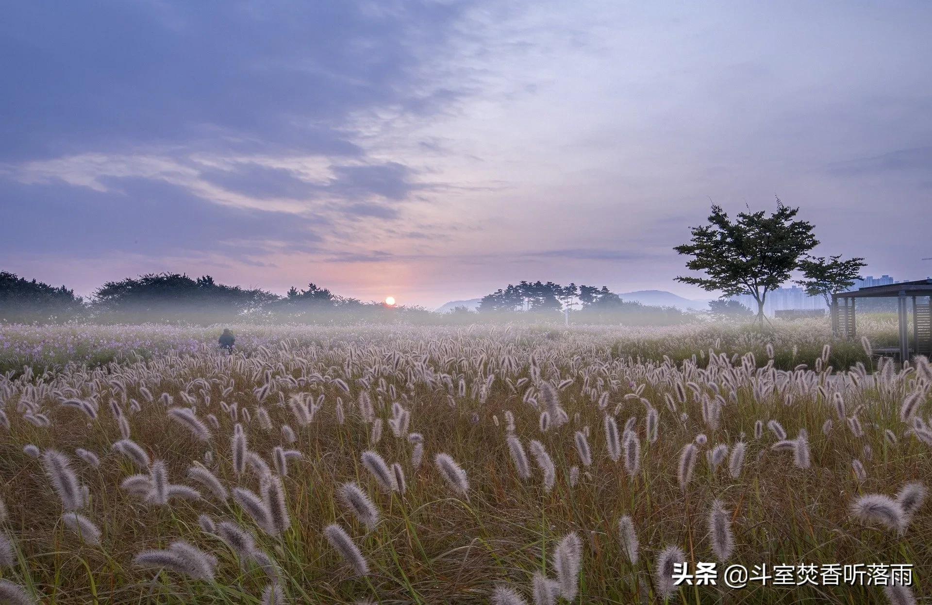 生活的最佳状态是冷冷清清地风风火火 一句话书摘文案走心句子分享