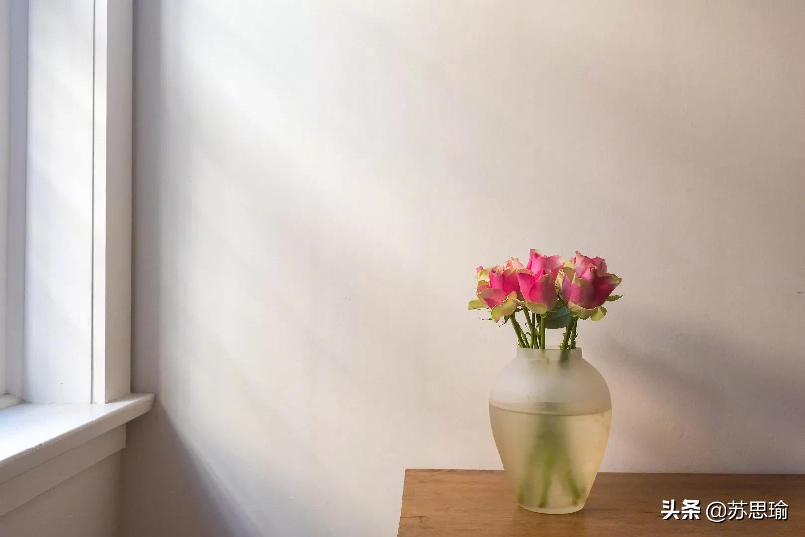 热门朋友圈文案