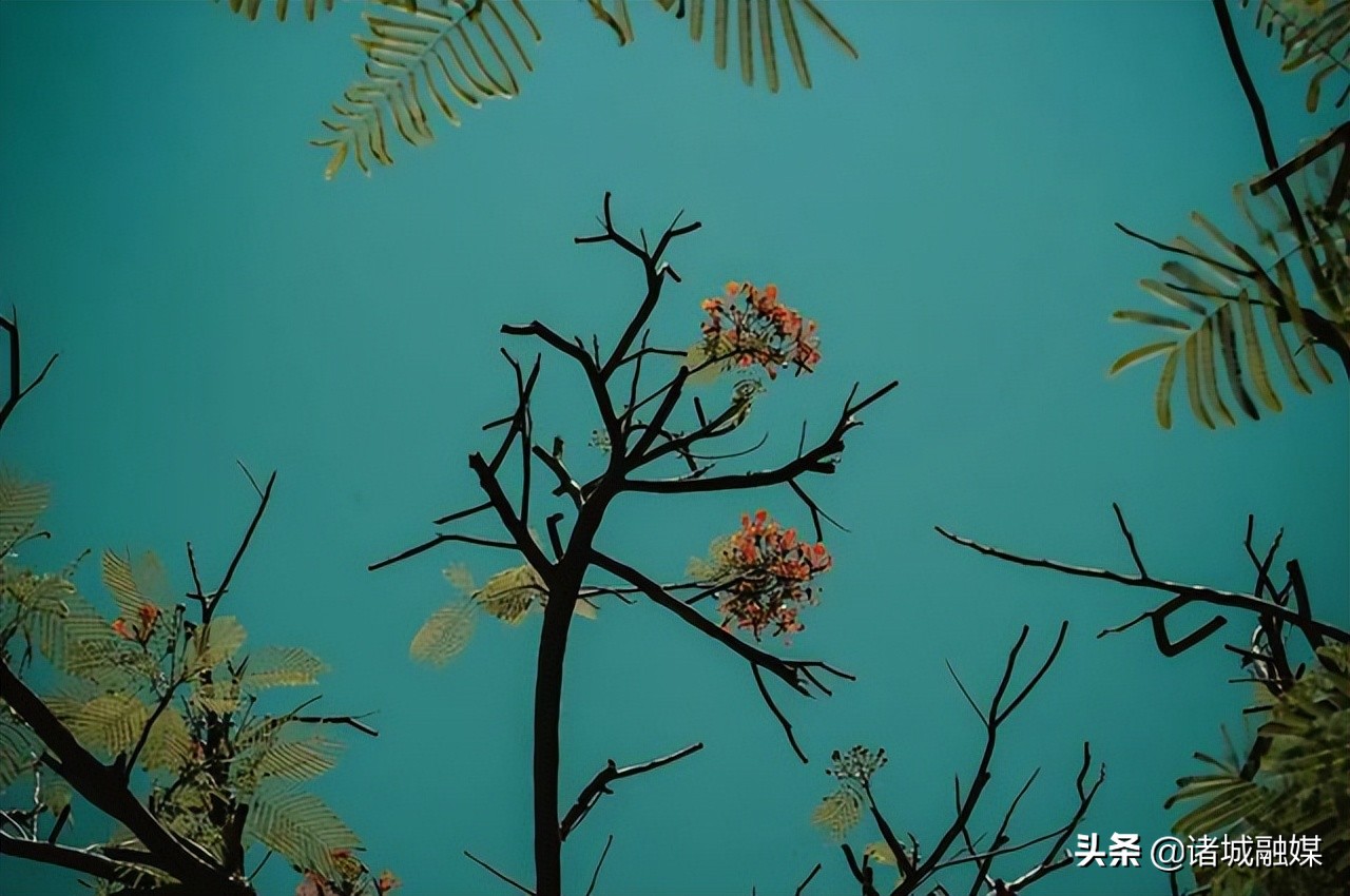 网络中国节·端午 | 10首关于端午节的诗词，你知道多少？