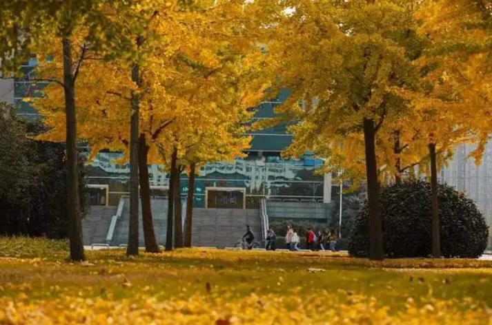 江苏所有167所大学排名，可分为8个档次，适合不同分数段的考生