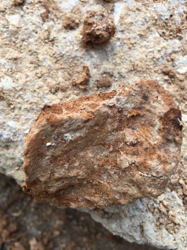 原来,这质地坚硬的土壤竟然是五花夯土,而更为奇特的是,在土壤中竟然