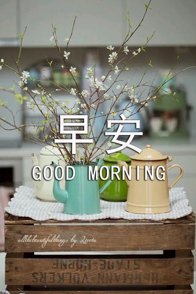 新的一天微信早上好的问候语图片 问声早安、心中舒坦图片