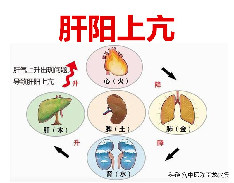 性子急脾气大对人体有什么伤害(性子急脾气大，有多伤身？)