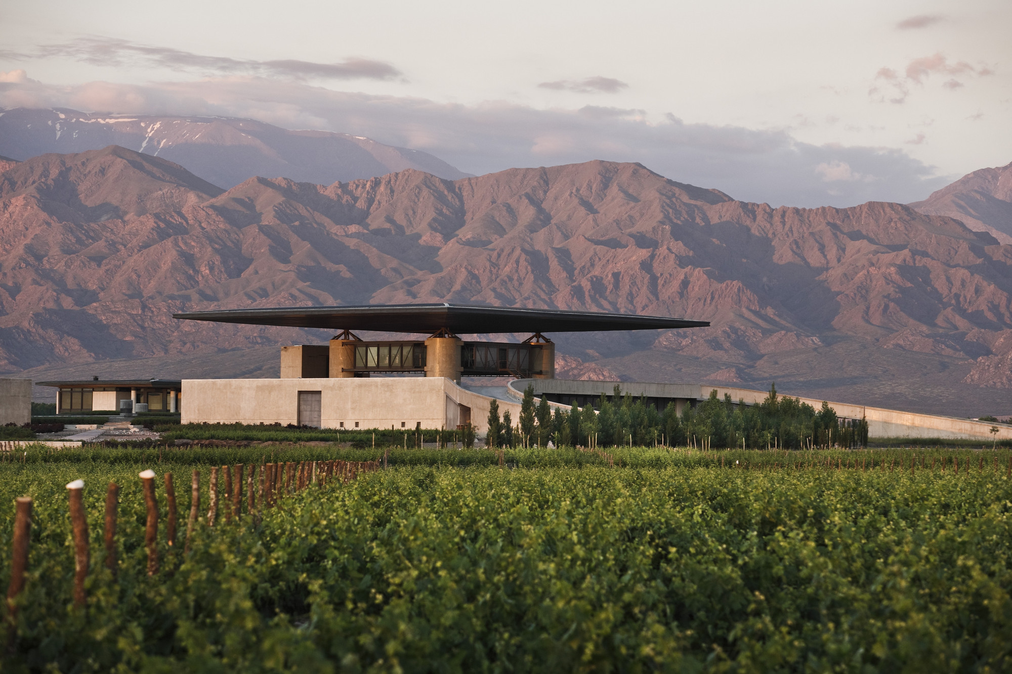 全球五大最具可持续性的葡萄酒产区