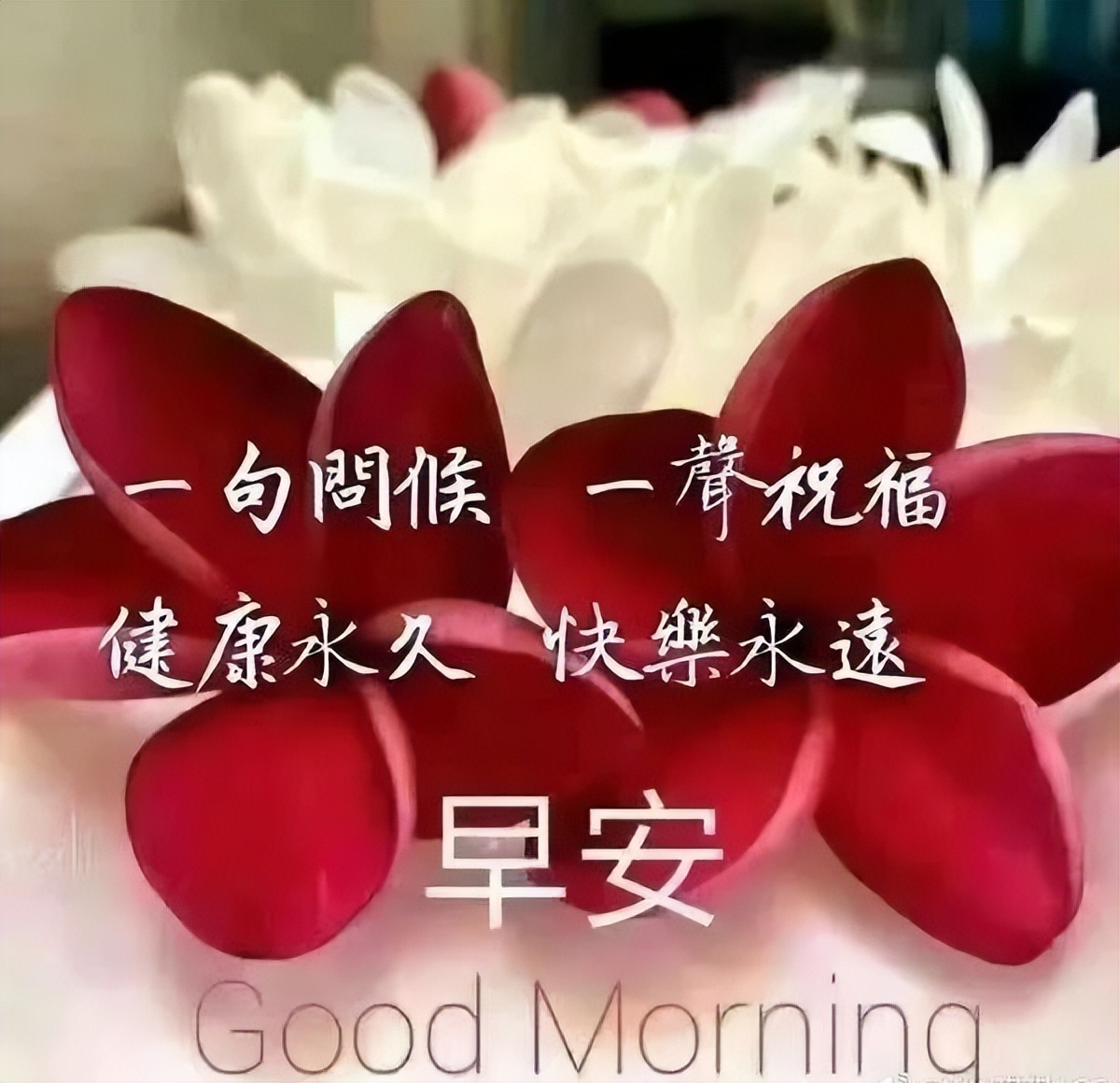 微信早安问候朋友的温馨语录 晨起一声早，事事皆美好图片