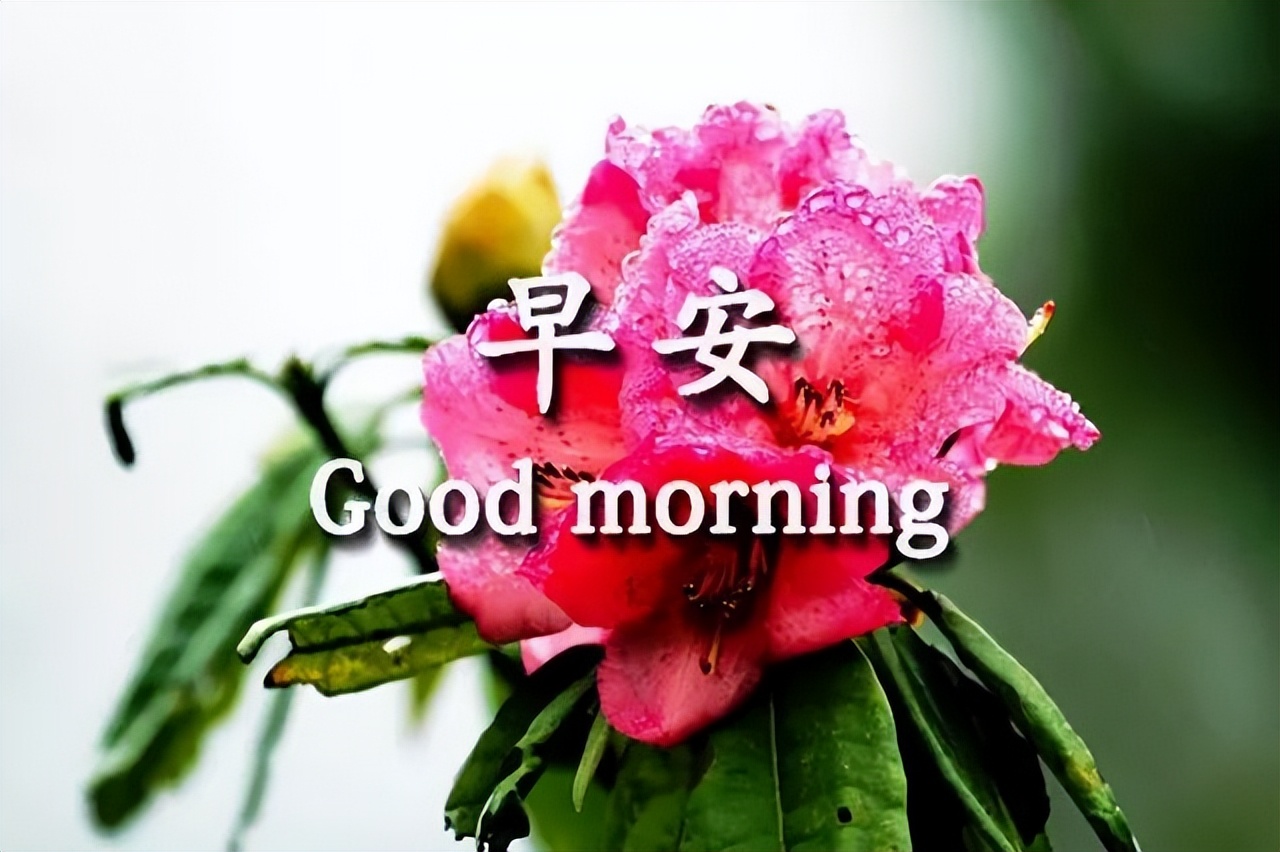 周末温馨的早上好祝福问候语动态图片，郭浩充实今日就有美好明天图片