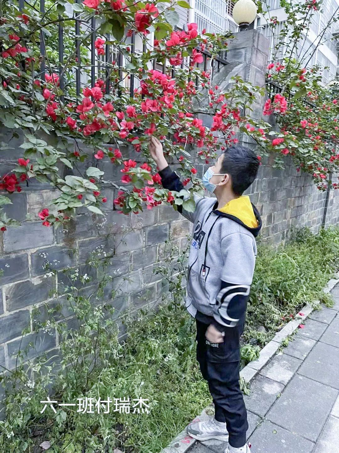黄甲小学开展“人人参与科技节，我的科技节我做主”科技节活动
