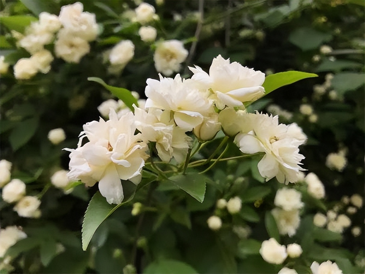 省委宣传部共建！西北大学这个学院实力