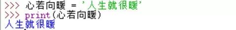 Python入门之Python的数据类型和常用操作符