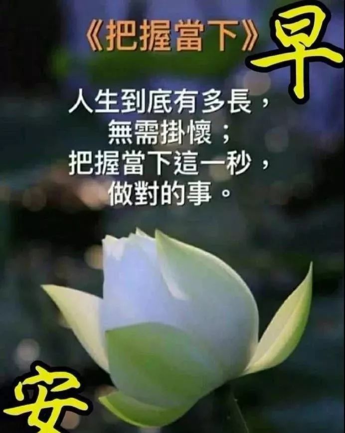微信早上好祝福图片，早上好祝福语句，清晨一声早，心情无比好图片