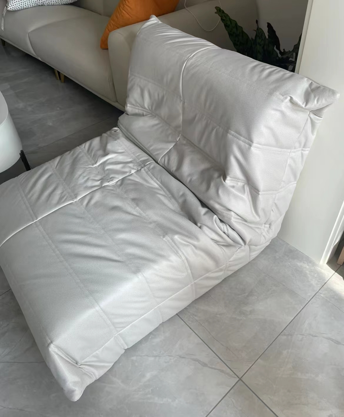 争议性超大的8种家居品(争议性超大的8种家居品种)