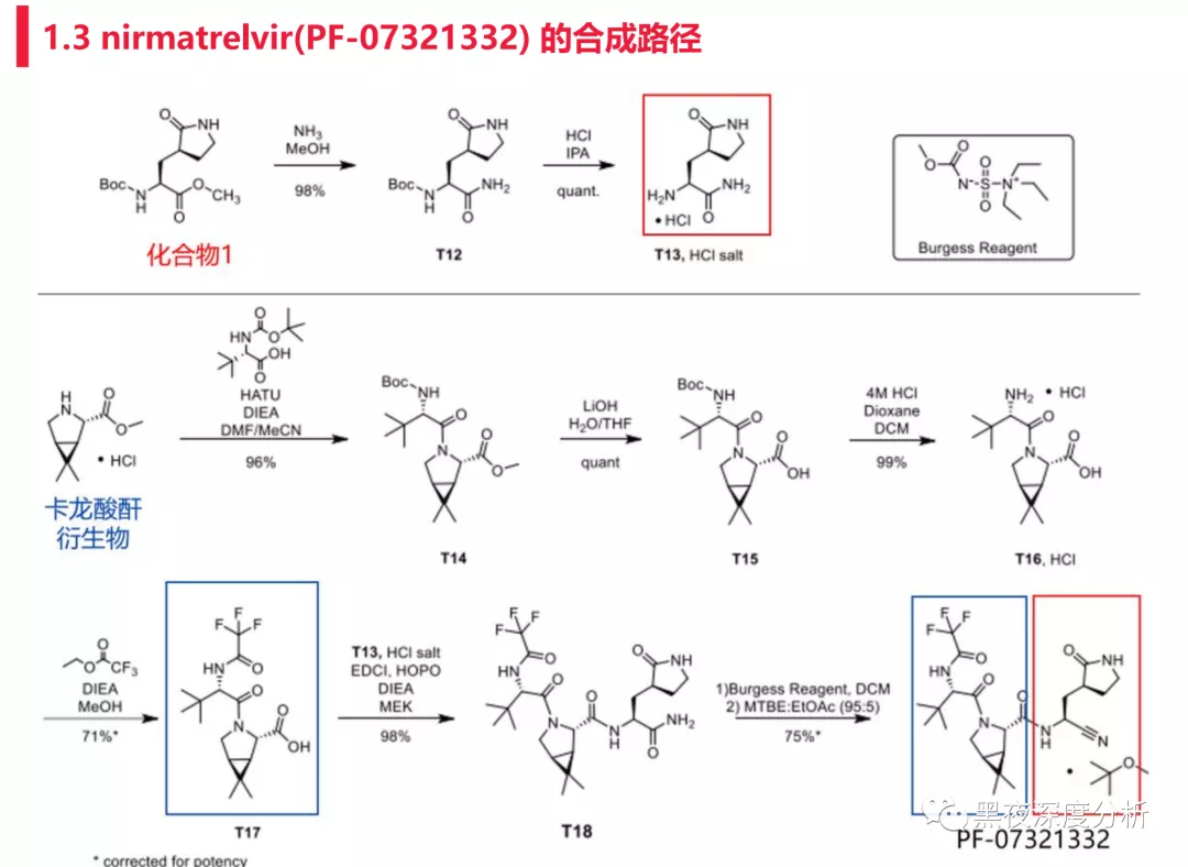 雅本只是弟弟，金城医药才是辉瑞特效药Paxlovid真正王者