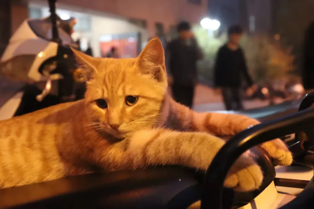 优微推荐丨入股不亏！快来一起探索生活中的小美好吧