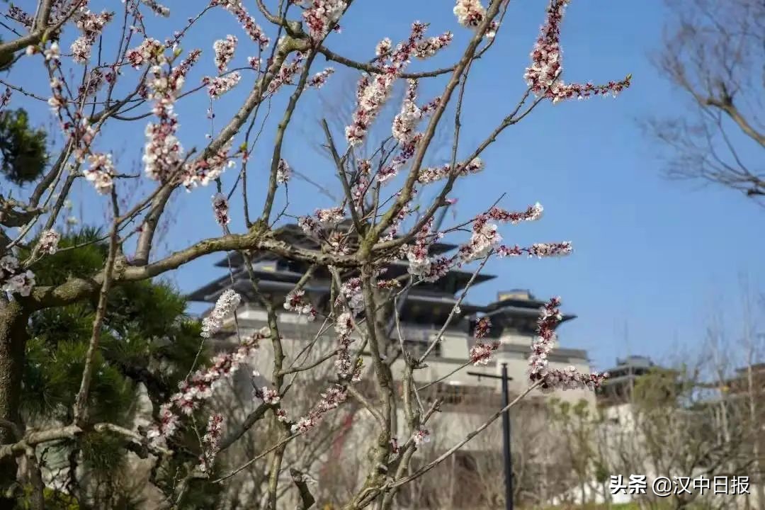 漢中“東西南北”線大PK！總有一條適合你