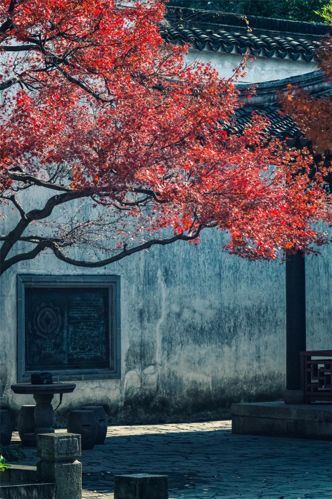 苏州园林特辑 | 待春暖花开之时，相约绝色江南，来一场寻梦之旅