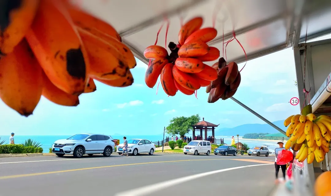 走,去海南过年去!撒网捕鱼、帆船体验、海鲜大餐,开心过大年