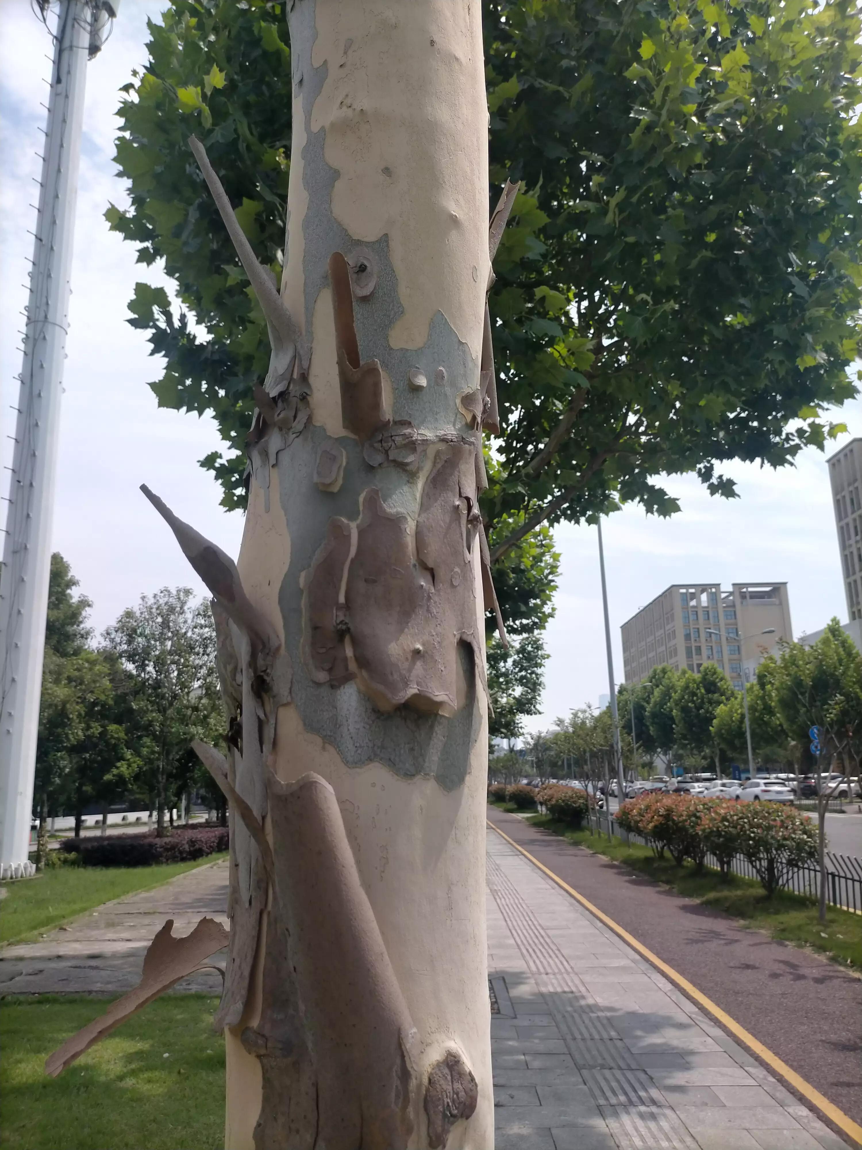 又是一年毕业季，记录下湖南高校毕业典礼上那些有关青春的致辞