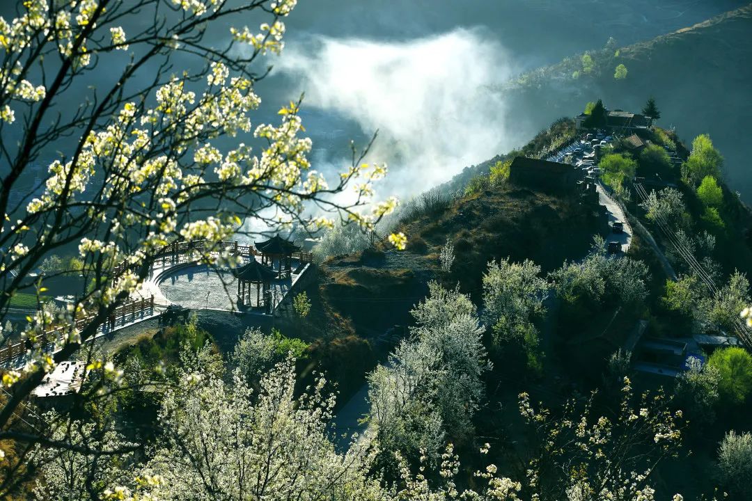 吹风吹,梨花闹,又一年,春来到- 金川梨花 -地址:四川省阿坝州金川县