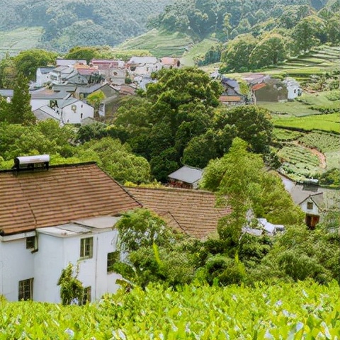 十大浙皖地区入门级徒步地，周末就能打卡，踏遍群山