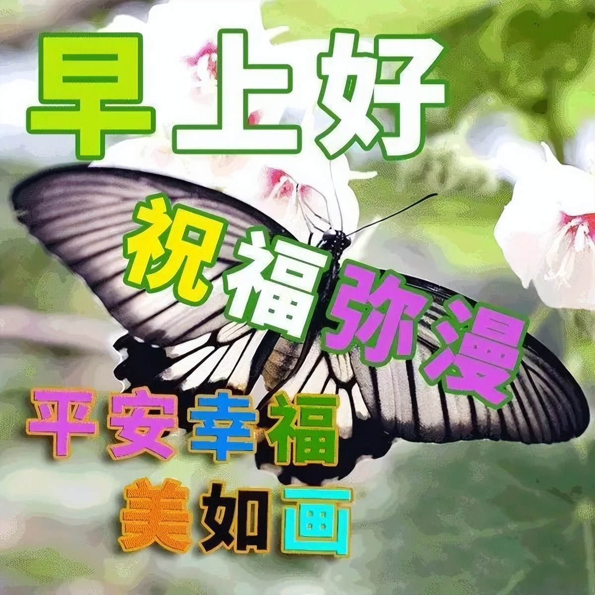 早上好微信温馨祝福图片问候语，又是快乐早晨，送你健康与幸福图片
