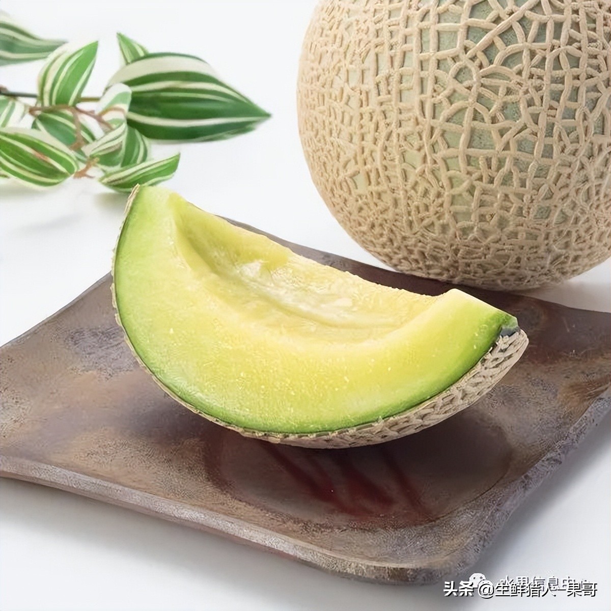 哈密瓜、蜜瓜、网纹瓜、香瓜、羊角蜜傻傻分不清？看完就明白了
