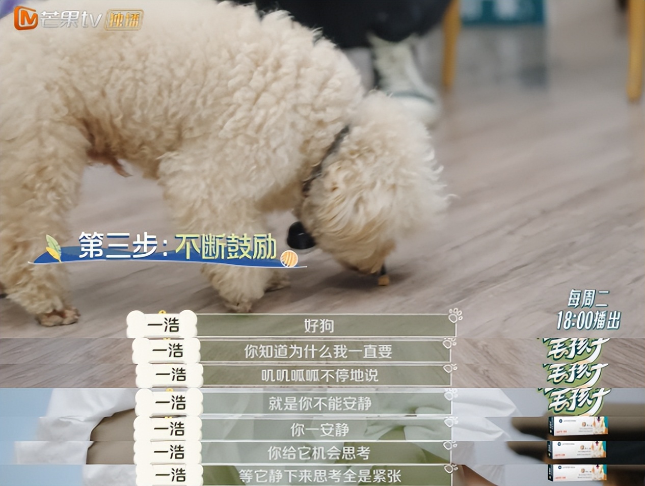 10分钟看哭7次！当他们不再“有用”的时候，却也无法正常生活