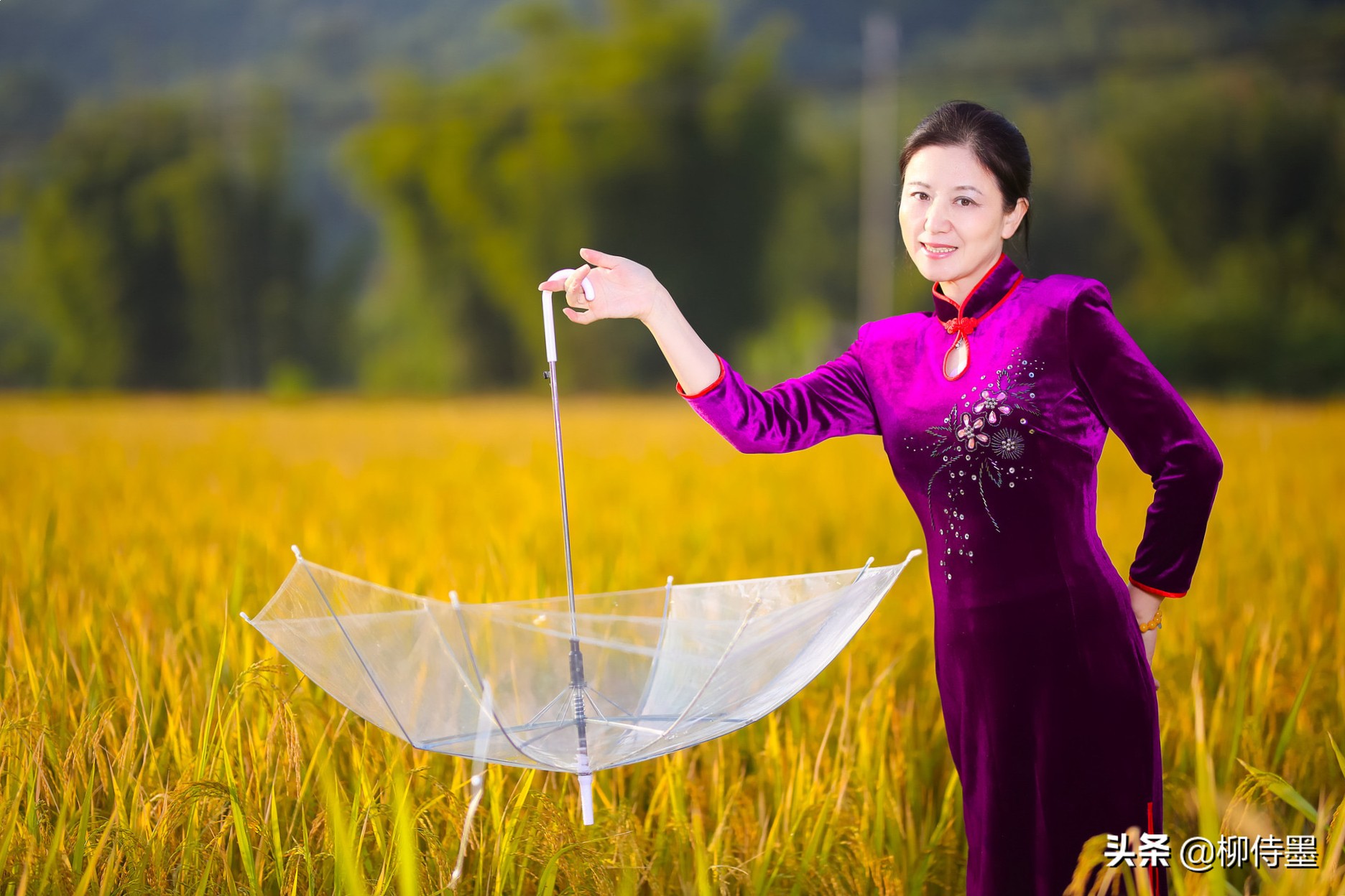 伸出的手唯美圖片(中老年阿姨攝影) - 赤虎壹號