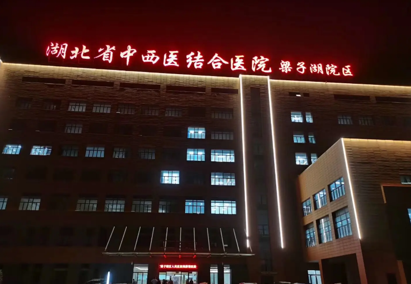 2016年湖北一女子孕后成植物人，丈夫发现病历中的疑点获赔386万