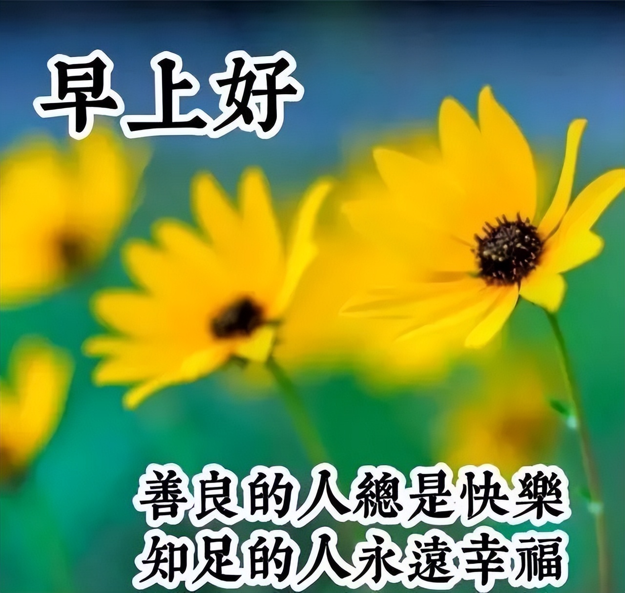 漂亮周日早上好祝福图片，早上好祝福语句，愿你每天好心情图片
