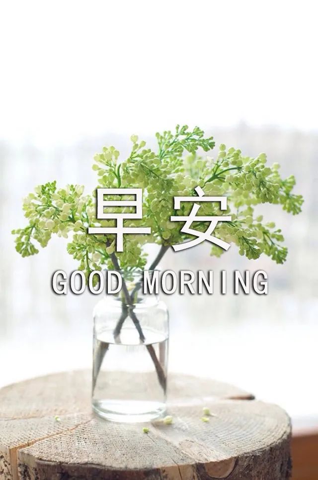 今日早上好表情包图片动态带鲜花 以积极的心态生活 发现美好的东西图片