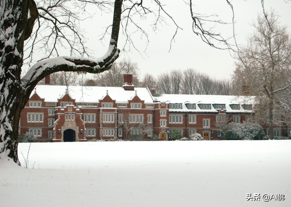 2022美国每个州最好的大学