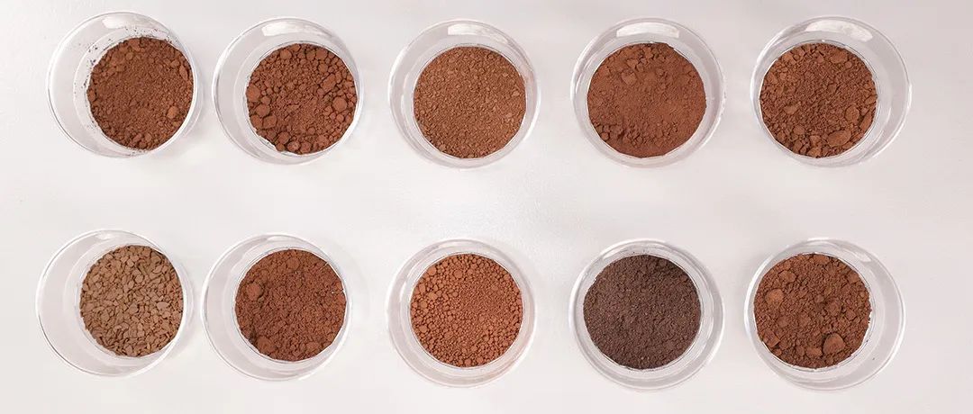 灵芝孢子粉到底是养生好物还是“慢性毒药”？实测10款，答案来了