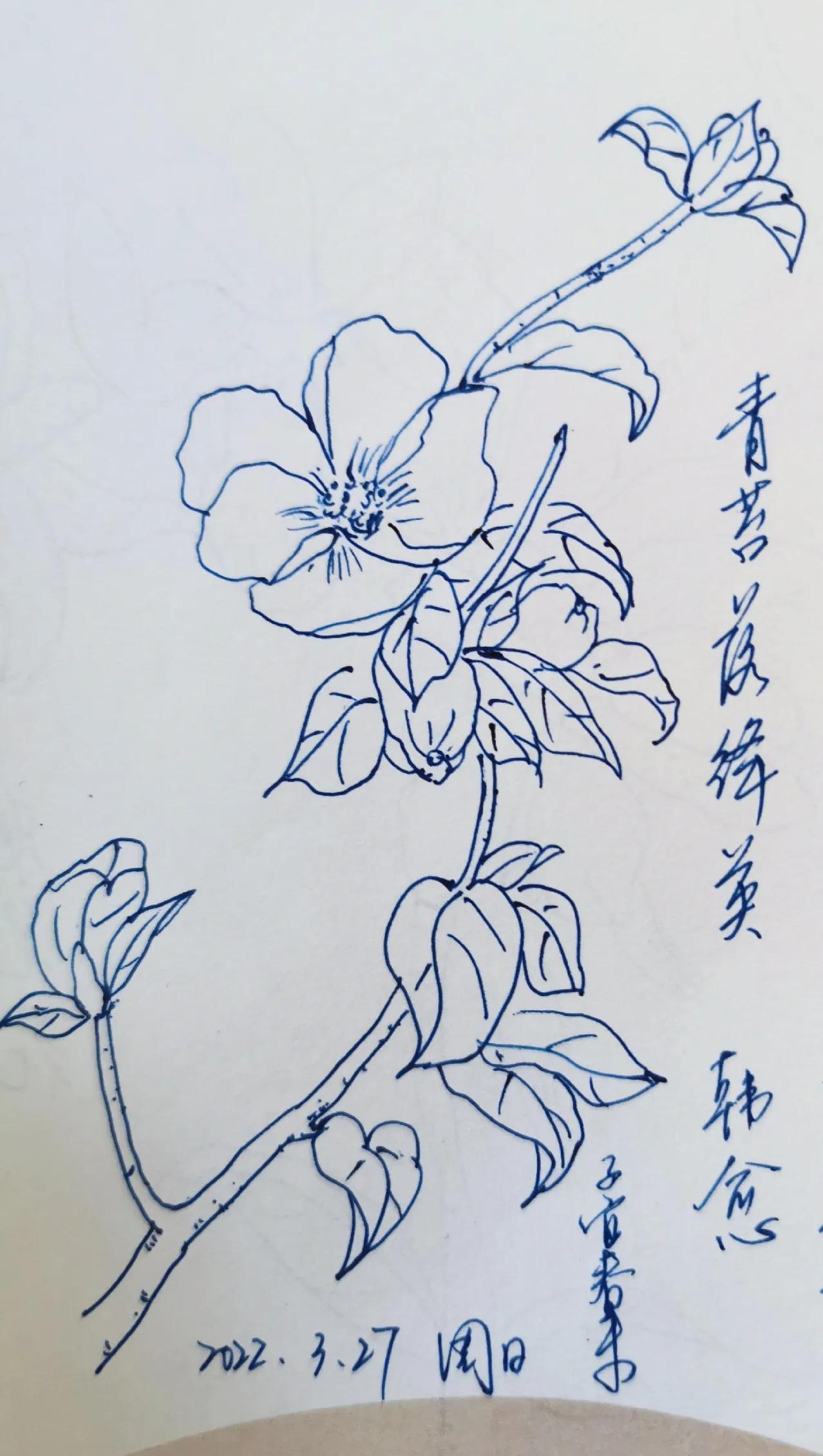 每日一花一诗，画一枝石榴花，题韩愈的诗