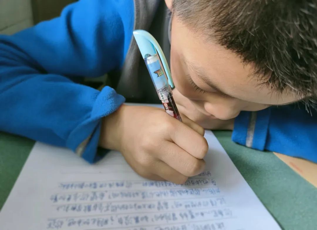 心育未来 静待花开——南湖小学（含北区）心理健康教育工作掠影