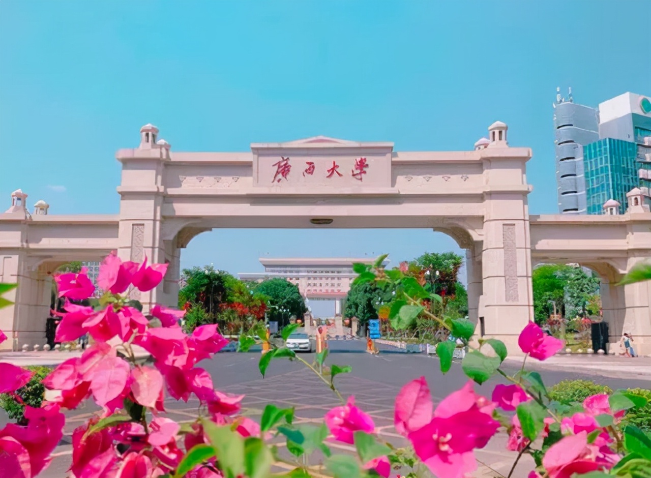 太心酸！考研国家线出来第3天，广西大学调剂需求表被下载30万次