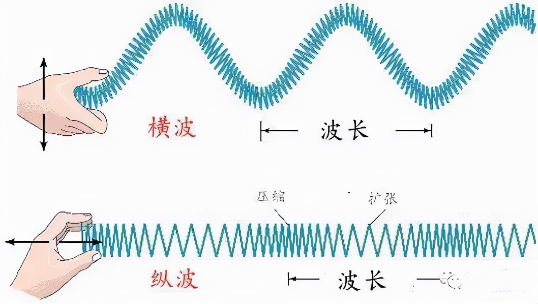 横波的图像图片