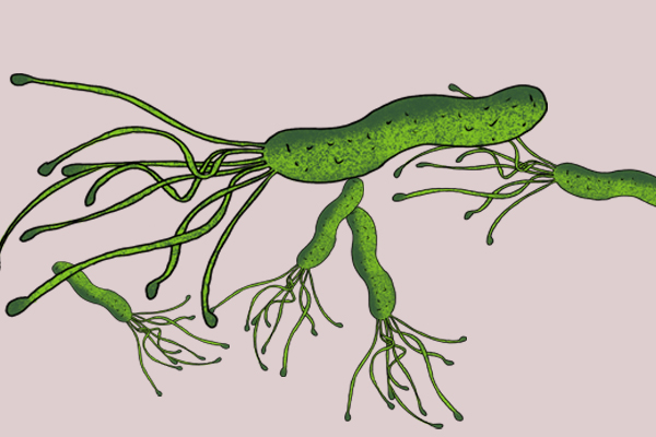 牙膏选不对，可能存在潜在致癌的风险，1种牙膏最好别买