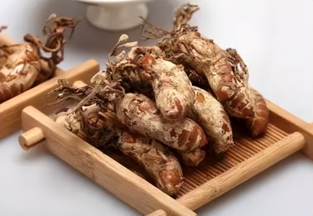 金蟬花是什么？和冬蟲夏草有什么關(guān)系？