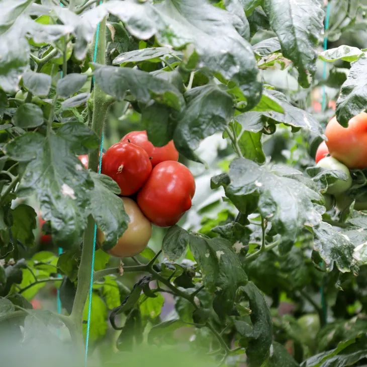 侯<a href=http://www.cngansu.cn/news/ target=_blank class=infotextkey></a>ܶӸ֧ӣ˭˵ԭ