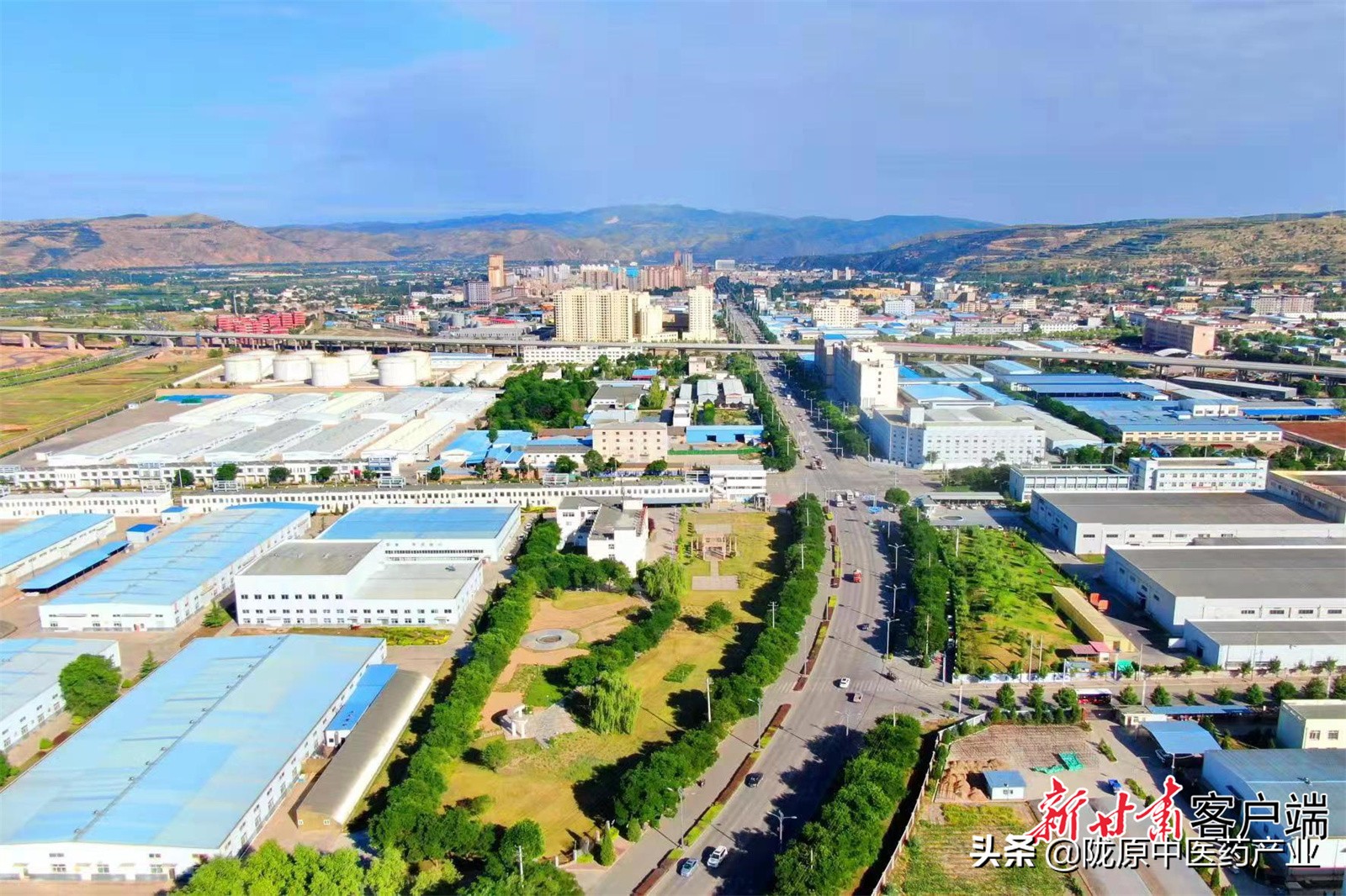 立足优势守正创新 靶向发力全链发展——定西市推动中医药产业高质量发展纪实新甘肃
