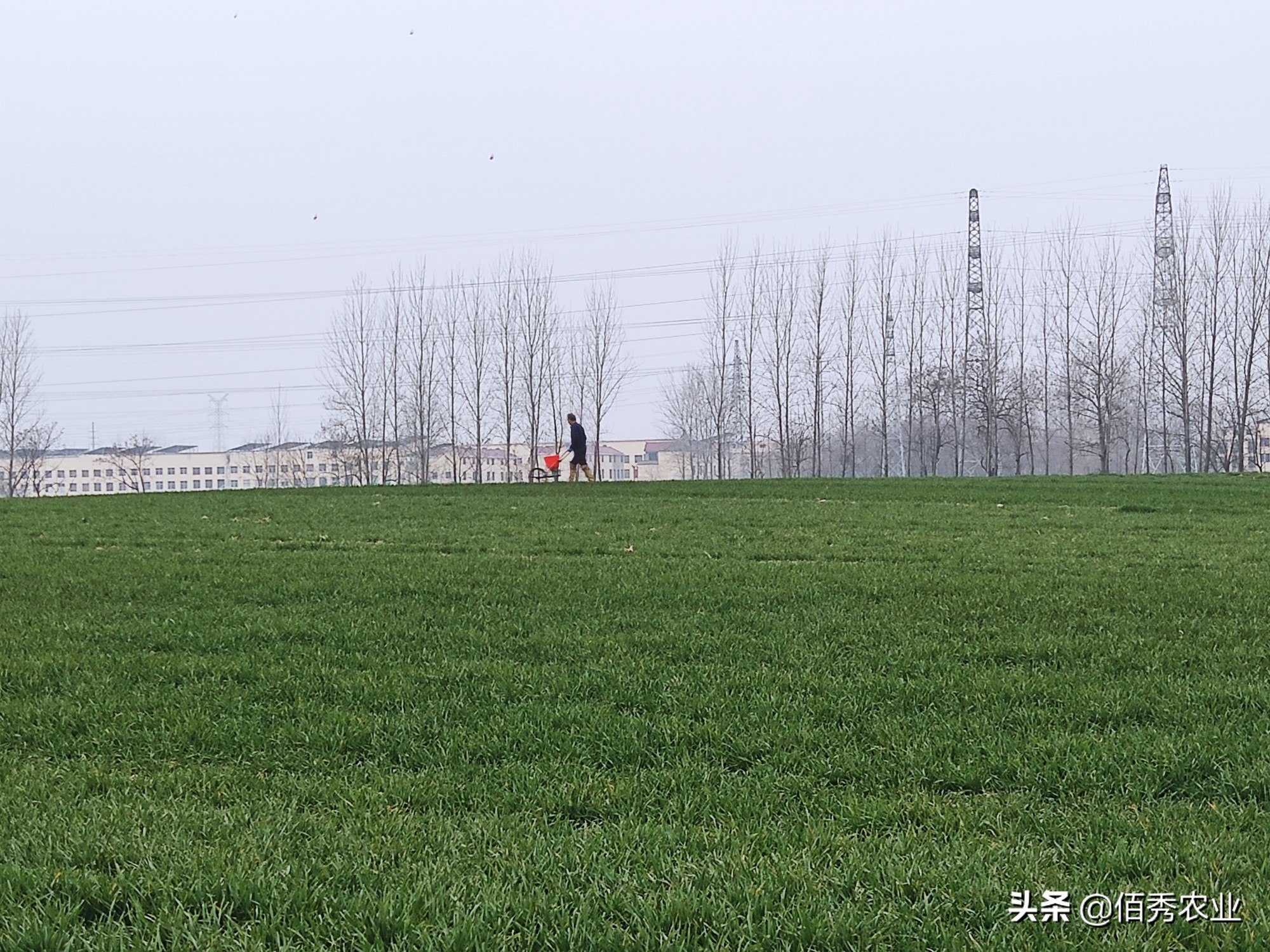 土地出租,土地出租合同怎么写