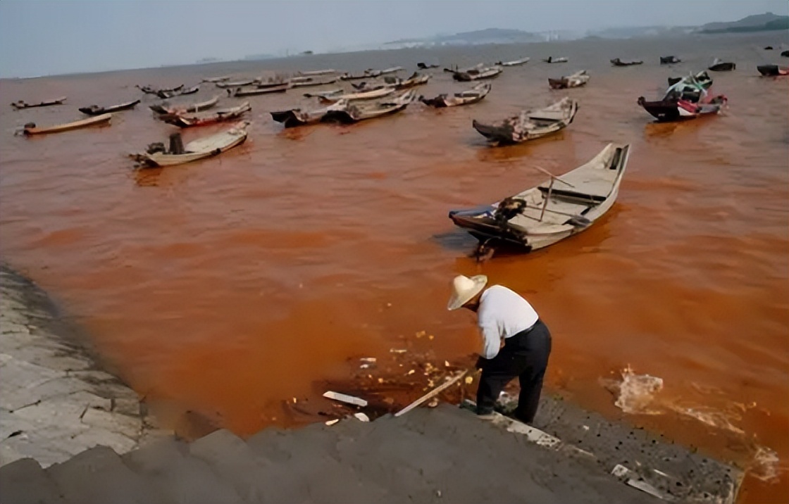 福建发生“赤潮”现象，大量鱼虾中毒死亡，难道是新的自然灾难？