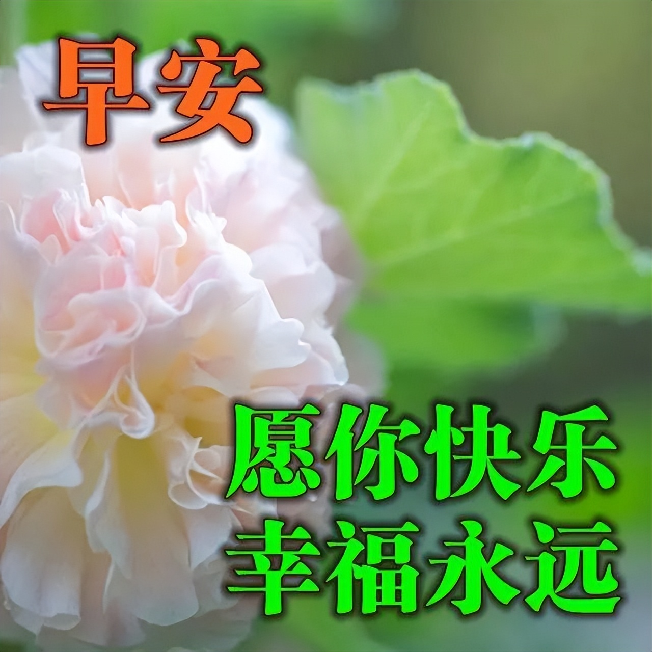 周末愉快微信朋友圈早晨好动图美图 愿你快乐 幸福永远图片