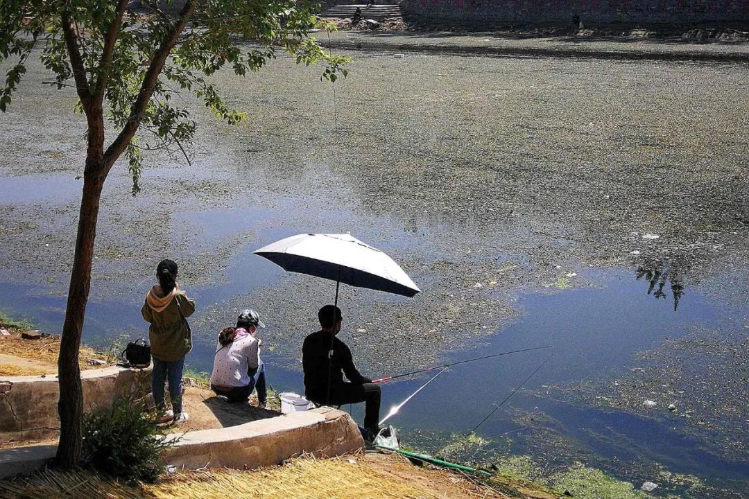 男人:钓鱼和不钓鱼,现实生活中的差距