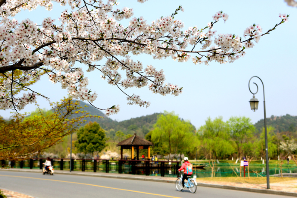 新一轮双一流评选，浙江工业大学希望渺茫，理由有两点