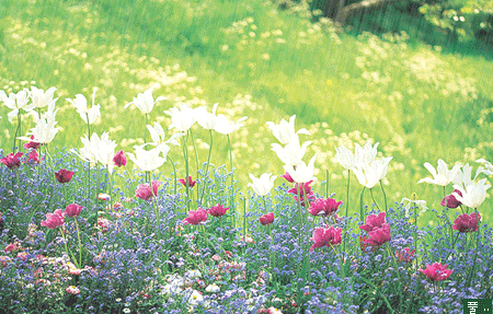 你听过最干净的句子是什么#1,即使没有人为你鼓掌,也要优雅的谢幕